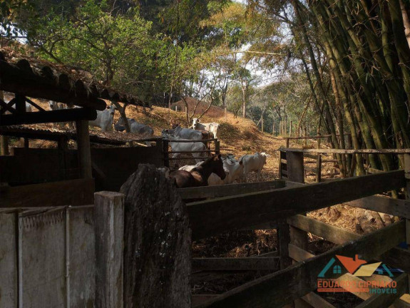 Imagem Fazenda à Venda, 1 m² em Rio Claro - Paraibuna Imagem Fazenda à Venda, 1 m² em Rio Claro - Paraibuna