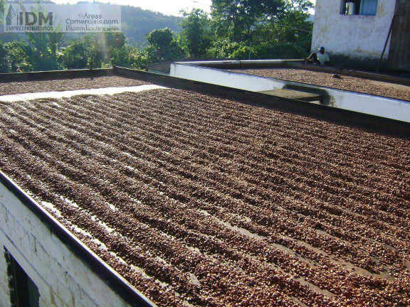 Imagem Chácara à Venda, 2.780.000 m² em Rural - Camamu Imagem Chácara à Venda, 2.780.000 m² em Rural - Camamu