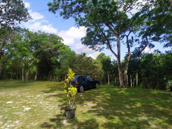 Imagem Chácara com 3 Quartos à Venda, 1 m² em Jardim Coronel - Itanhaém Imagem Chácara com 3 Quartos à Venda, 1 m² em Jardim Coronel - Itanhaém