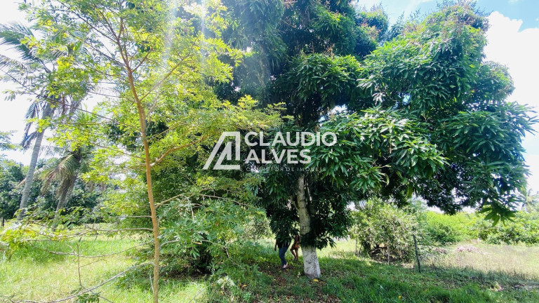 Imagem Chácara com 2 Quartos à Venda, 2 m² em Chaparral - Feira De Santana