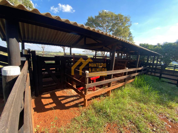 Imagem Fazenda à Venda, 290.400 m² em Vale San Fernando - Itapetininga Imagem Fazenda à Venda, 290.400 m² em Vale San Fernando - Itapetininga
