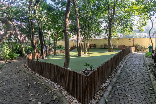 Imagem Apartamento com 3 Quartos à Venda, 86 m² em Vila Mascote - São Paulo
