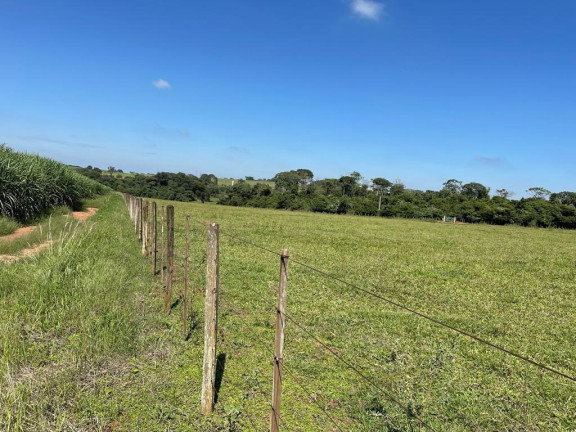 Imagem Imóvel à Venda, 25 m² em área Rural De São José Do Rio Preto - São José Do Rio Preto Imagem Imóvel à Venda, 25 m² em área Rural De São José Do Rio Preto - São José Do Rio Preto