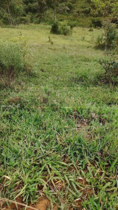 Imagem Terreno à Venda, 4 m² em Bairro Alto - Natividade Da Serra Imagem Terreno à Venda, 4 m² em Bairro Alto - Natividade Da Serra