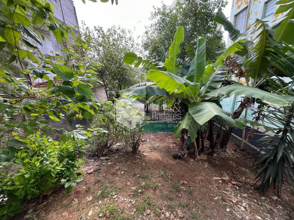 Imagem Apartamento com 20 Quartos à Venda, 585 m² em Vila Maria Alta - São Paulo
