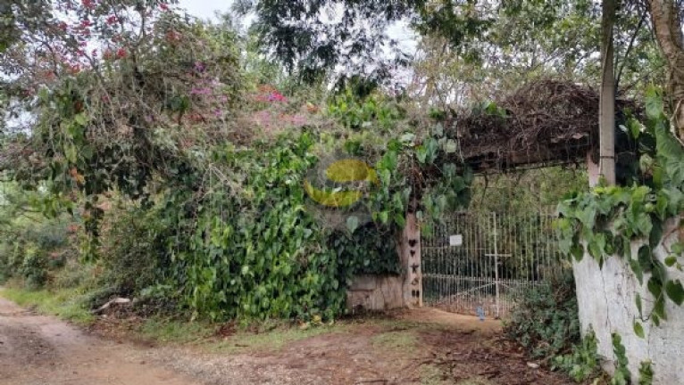 Imagem Terreno à Venda, 6.000 m² em Jardim Colibri - Cotia Imagem Terreno à Venda, 6.000 m² em Jardim Colibri - Cotia