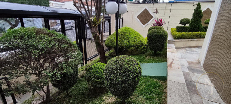 Imagem Apartamento com 2 Quartos à Venda, 56 m² em Vila Nova Savoia - São Paulo Imagem Apartamento com 2 Quartos à Venda, 56 m² em Vila Nova Savoia - São Paulo
