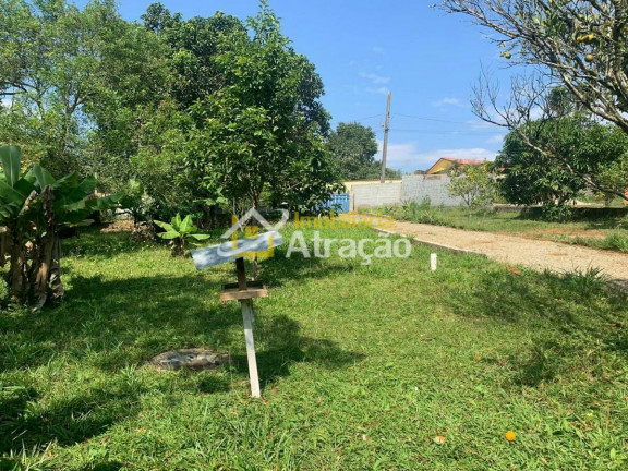 Imagem Imóvel com 1 Quarto à Venda, 1.000 m² em Vila São Francisco - Suzano