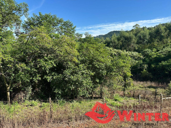 Imagem Chácara à Venda, 2.500 m² em Arroio Das Pedras - Bom Princípio Imagem Chácara à Venda, 2.500 m² em Arroio Das Pedras - Bom Princípio