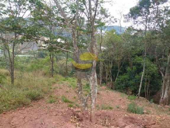 Imagem Terreno à Venda, 1.005 m² em Parque Rizzo Ii - Cotia