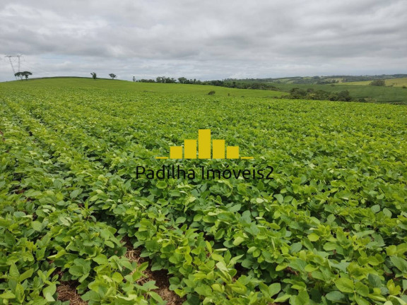 Imagem Chácara à Venda, 20 m² em Pilar Do Sul