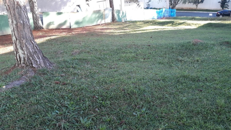Imagem Terreno à Venda, 600 m² em Alphaville 0 - Barueri