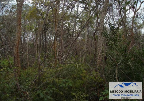Imagem Fazenda à Venda, 14.000 m² em Fazenda - Bonito De Minas Imagem Fazenda à Venda, 14.000 m² em Fazenda - Bonito De Minas