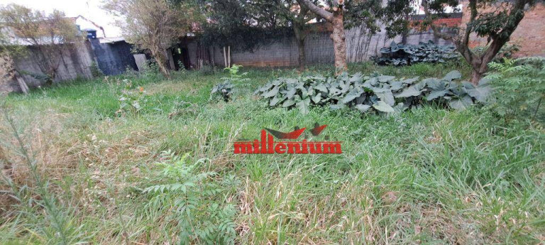 Imagem Terreno à Venda, 1.169 m² em Jardim Jaú - São Paulo Imagem Terreno à Venda, 1.169 m² em Jardim Jaú - São Paulo