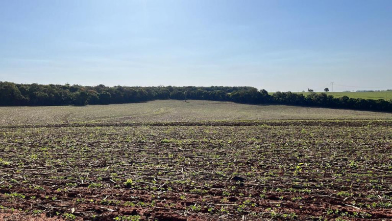 Imagem Fazenda à Venda, 95 m² em Rural - Paranapanema Imagem Fazenda à Venda, 95 m² em Rural - Paranapanema