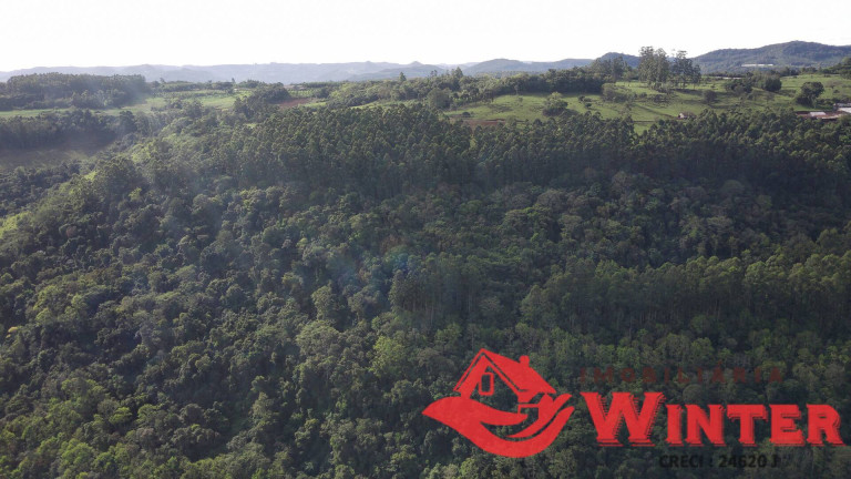 Imagem Chácara à Venda, 70 m² em Morro Grande - Linha Nova Imagem Chácara à Venda, 70 m² em Morro Grande - Linha Nova