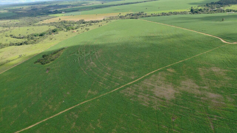 Imagem Fazenda à Venda, 390.000 m² em Santa Cruz De Goiás