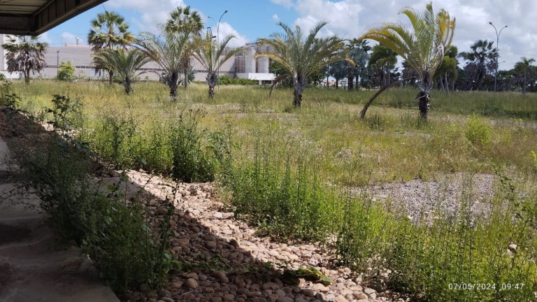 Imagem Imóvel para Alugar, 22.700 m² em Cidade Nova - Pacatuba Imagem Imóvel para Alugar, 22.700 m² em Cidade Nova - Pacatuba