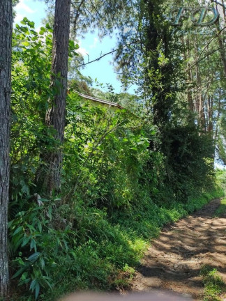 Imagem Chácara com 3 Quartos à Venda, 151.000 m² em Terra Preta - Mairiporã Imagem Chácara com 3 Quartos à Venda, 151.000 m² em Terra Preta - Mairiporã