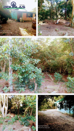 Imagem Chácara com 2 Quartos à Venda, 1.800 m² em Viamão Imagem Chácara com 2 Quartos à Venda, 1.800 m² em Viamão