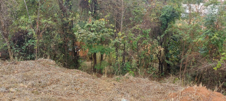 Imagem Terreno à Venda, 367 m² em Havaí - Belo Horizonte
