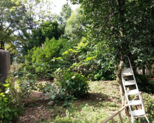 Imagem Casa com 2 Quartos à Venda, 120 m² em Centro - Nova Petrópolis