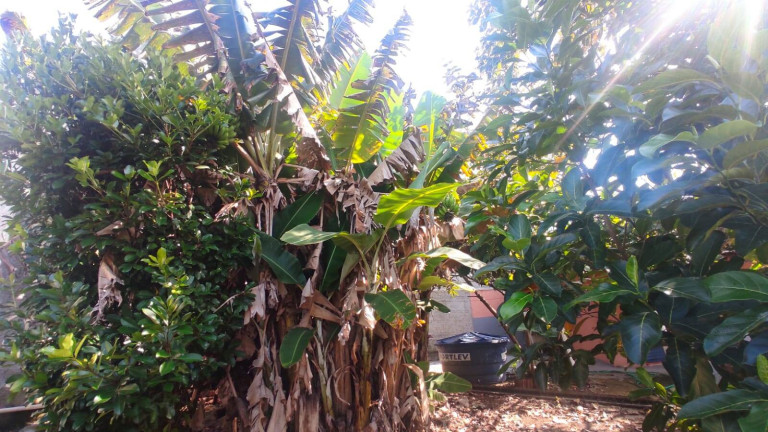 Imagem Chácara com 3 Quartos à Venda, 1.020 m² em Trevo Da Entrada Do Cercado - Araçoiaba Da Serra Imagem Chácara com 3 Quartos à Venda, 1.020 m² em Trevo Da Entrada Do Cercado - Araçoiaba Da Serra