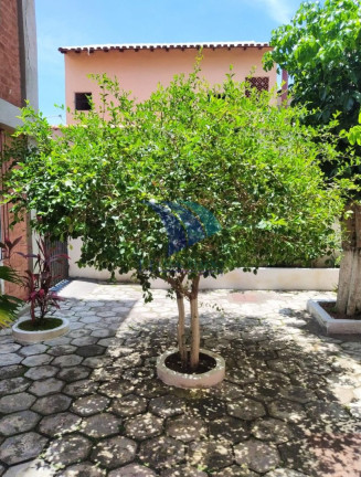 Imagem Apartamento com 2 Quartos à Venda, 50 m² em Braga - Cabo Frio