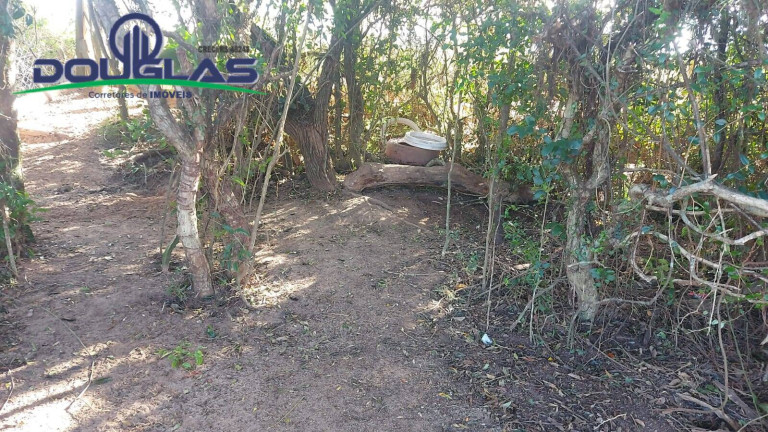 Imagem Chácara com 2 Quartos à Venda, 204.080 m² em Viamão Imagem Chácara com 2 Quartos à Venda, 204.080 m² em Viamão