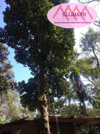 Imagem Imóvel com 2 Quartos à Venda, 76 m² em Parque Billings - Santo André