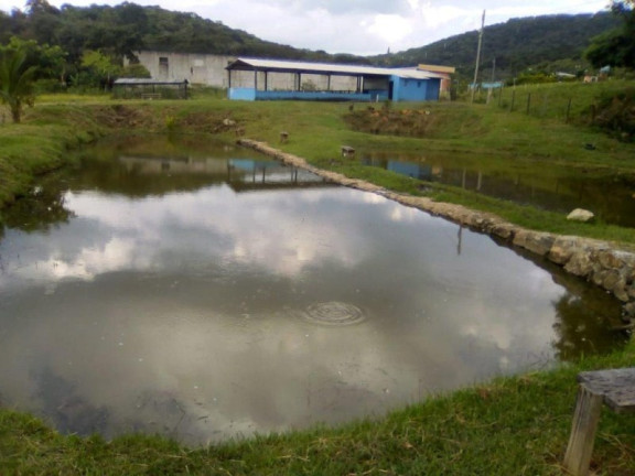 Imagem Imóvel à Venda, 10.000 m² em Cajuru - São José Dos Campos Imagem Imóvel à Venda, 10.000 m² em Cajuru - São José Dos Campos