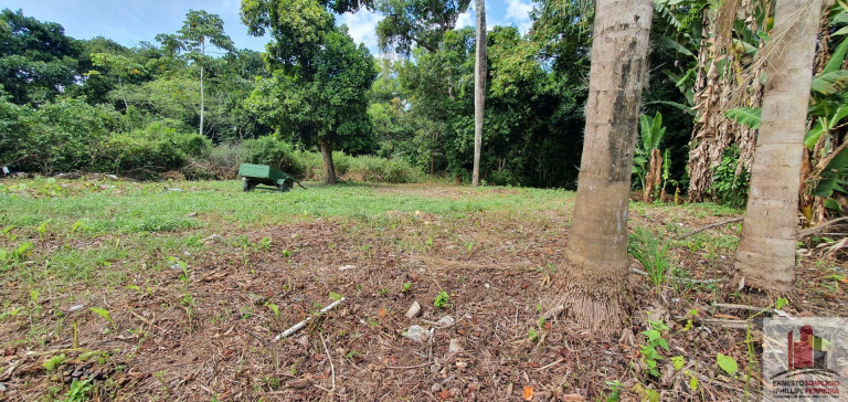 Imagem Terreno à Venda, 1.000 m² em Aldeia Dos Camarás - Camaragibe Imagem Terreno à Venda, 1.000 m² em Aldeia Dos Camarás - Camaragibe
