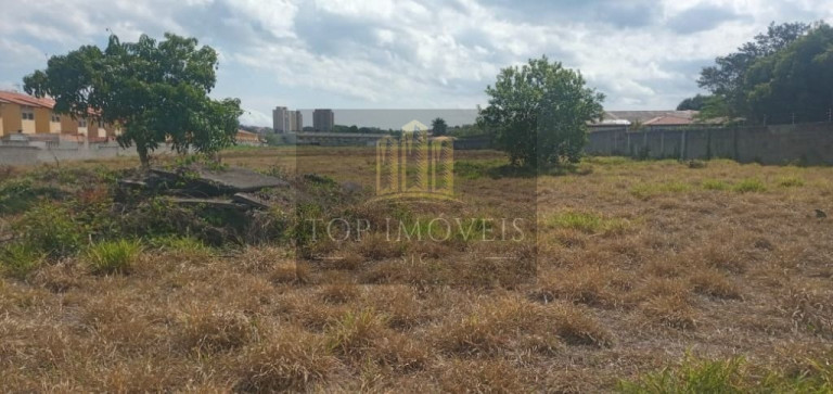 Imagem Terreno à Venda, 10.000 m² em Jardim Jacinto - Jacareí Imagem Terreno à Venda, 10.000 m² em Jardim Jacinto - Jacareí
