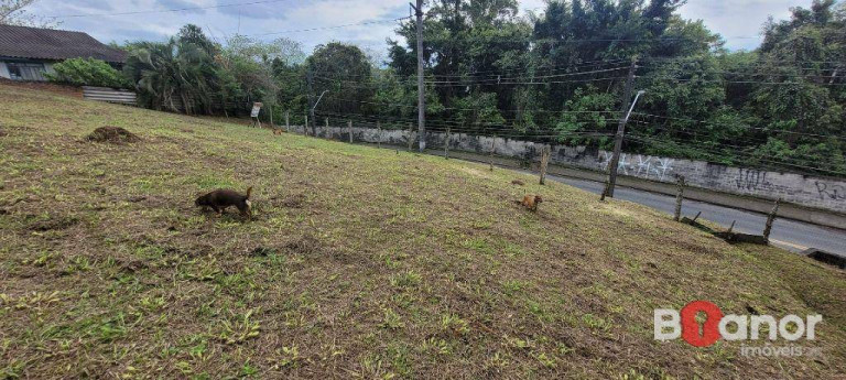 Imagem Terreno à Venda, 754 m² em Velha - Blumenau
