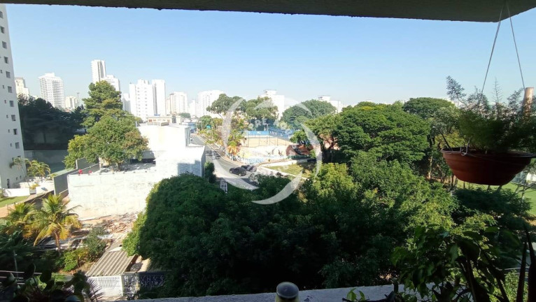 Imagem Apartamento com 3 Quartos à Venda, 79 m² em Vila Firmiano Pinto - São Paulo Imagem Apartamento com 3 Quartos à Venda, 79 m² em Vila Firmiano Pinto - São Paulo