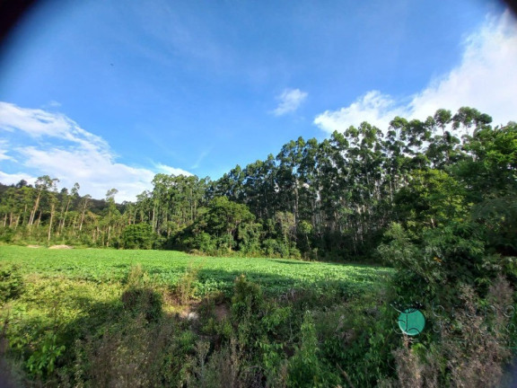 Imagem Imóvel à Venda, 170.000 m² em Zona Rural - Alfredo Wagner Imagem Imóvel à Venda, 170.000 m² em Zona Rural - Alfredo Wagner