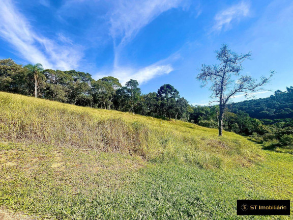 Imagem Terreno à Venda, 48.000 m² em Terra Preta (terra Preta) - Mairiporã