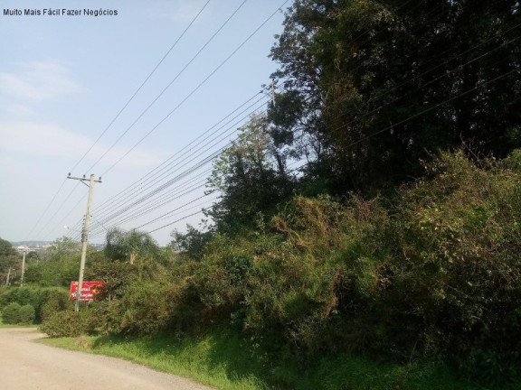 Imagem Terreno à Venda, 5.863 m² em Morro Korb - Nova Petrópolis Imagem Terreno à Venda, 5.863 m² em Morro Korb - Nova Petrópolis