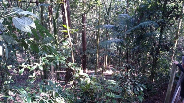 Imagem Terreno à Venda, 450 m² em Santa Luzia - Ribeirão Pires Imagem Terreno à Venda, 450 m² em Santa Luzia - Ribeirão Pires