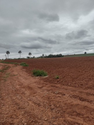 Imagem Terreno à Venda, 20.000 m² em Bairro Dos Lopes - Limeira Imagem Terreno à Venda, 20.000 m² em Bairro Dos Lopes - Limeira