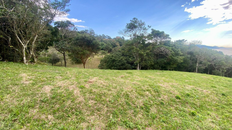Imagem Terreno à Venda, 4.908 m² em Praia Da Silveira - Garopaba
