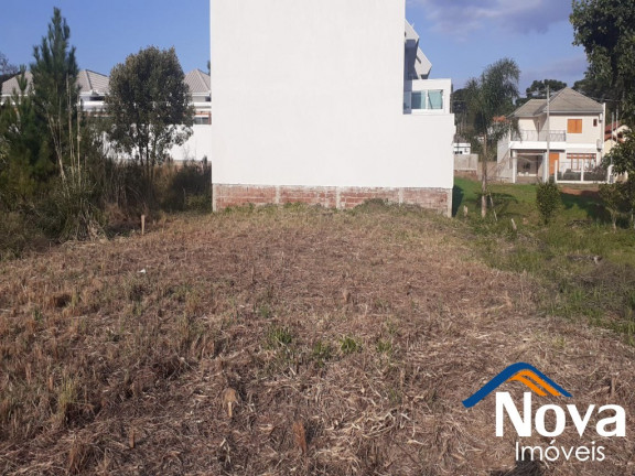 Imagem Imóvel à Venda, 381 m² em Vila Germânia - Nova Petrópolis Imagem Imóvel à Venda, 381 m² em Vila Germânia - Nova Petrópolis