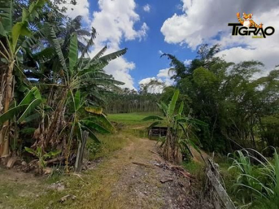 Imagem Chácara com 4 Quartos à Venda, 300.000 m² em Ilhota - Ilhota Imagem Chácara com 4 Quartos à Venda, 300.000 m² em Ilhota - Ilhota