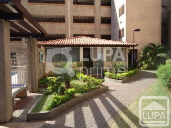 Imagem Apartamento com 2 Quartos à Venda, 50 m² em Parque Novo Mundo - São Paulo Imagem Apartamento com 2 Quartos à Venda, 50 m² em Parque Novo Mundo - São Paulo