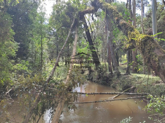 Imagem Casa com 2 Quartos à Venda, 150 m² em Paraibuna - Cunha Imagem Casa com 2 Quartos à Venda, 150 m² em Paraibuna - Cunha