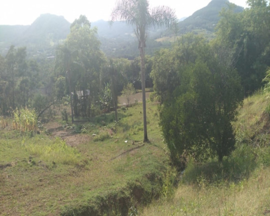 Imagem Imóvel com 2 Quartos à Venda,  em Vila Rica - Feliz