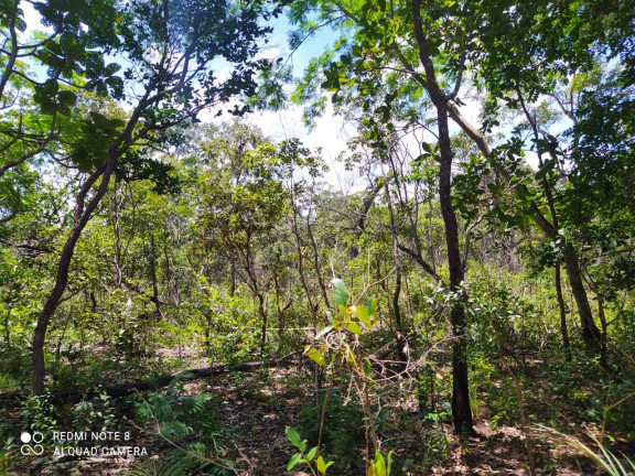 Imagem Imóvel à Venda,  em Mirador/ma - Mirador