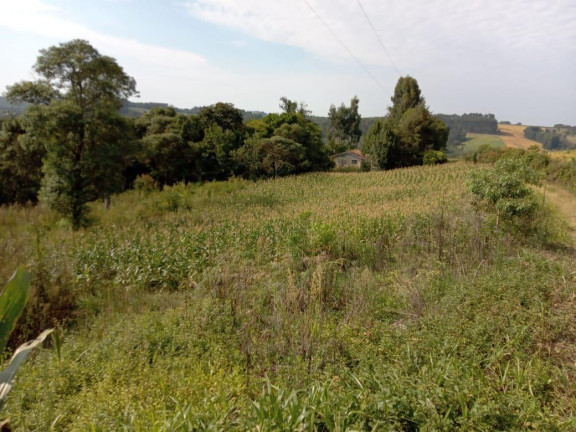 Imagem Chácara com 3 Quartos à Venda, 130.000 m² em Cantagalo - Antônio Olinto