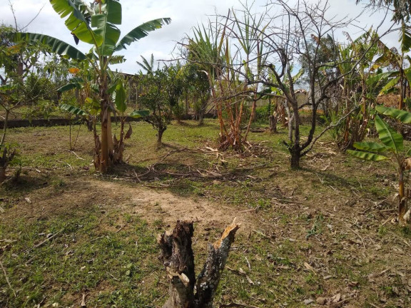 Imagem Chácara com 1 Quarto à Venda, 1.200 m² em Jardim Cananéia - Pilar Do Sul Imagem Chácara com 1 Quarto à Venda, 1.200 m² em Jardim Cananéia - Pilar Do Sul