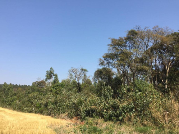 Imagem Chácara à Venda, 20.000 m² em Ponte Alta - Avaré Imagem Chácara à Venda, 20.000 m² em Ponte Alta - Avaré